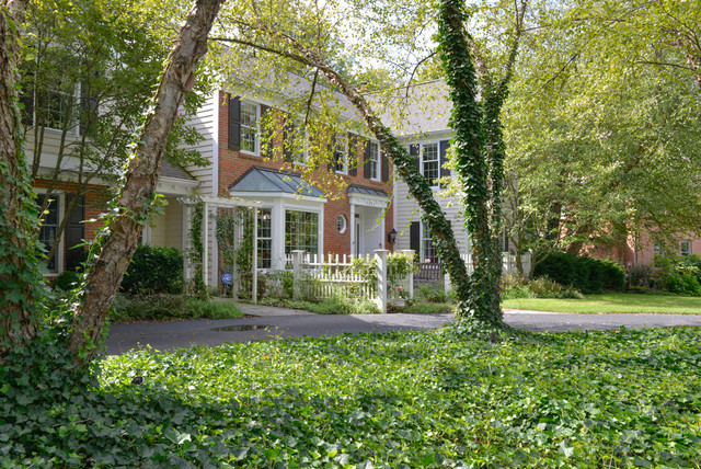 Front Landscaping american-traditional-garden