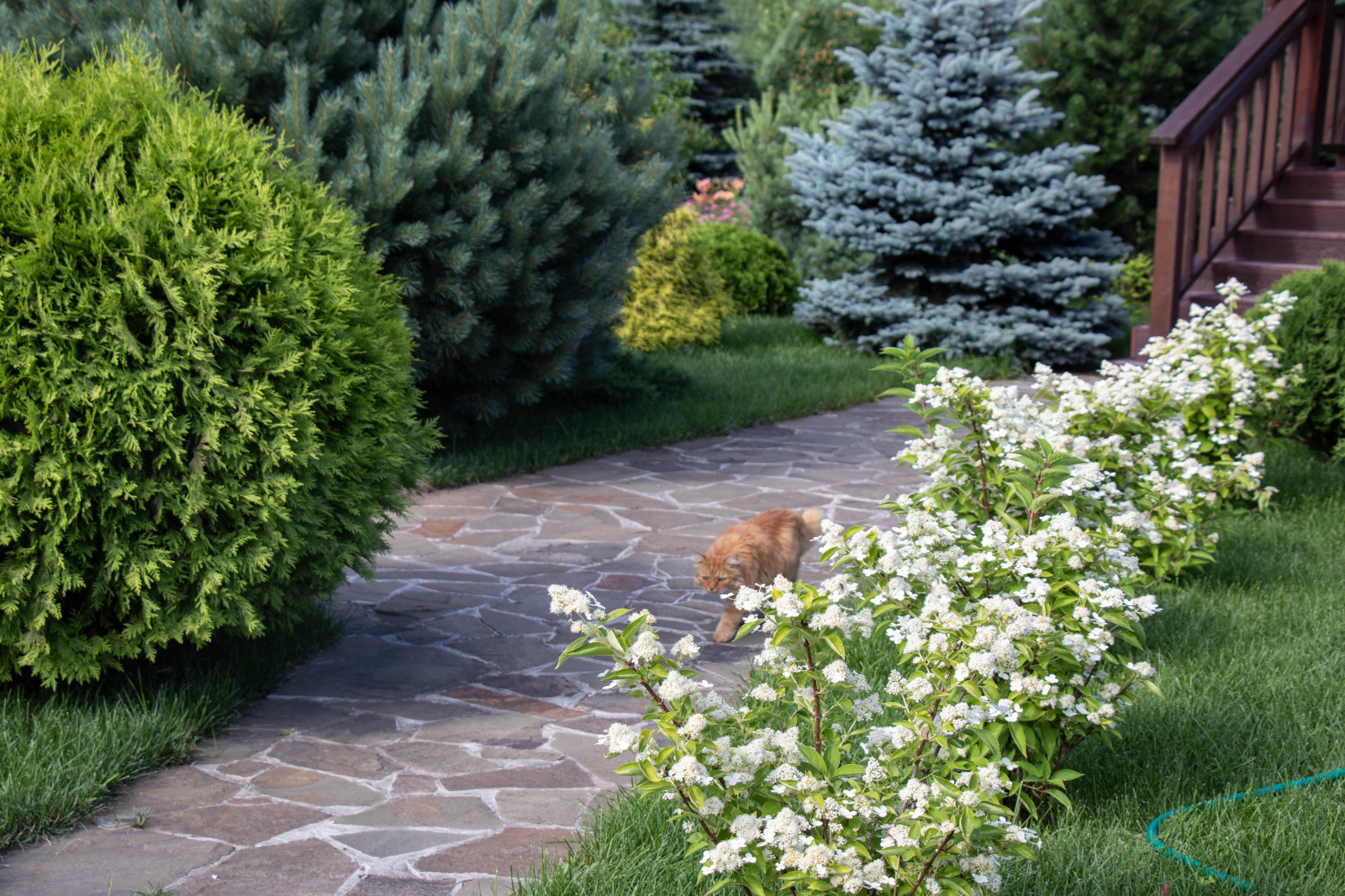 Сосновые берега