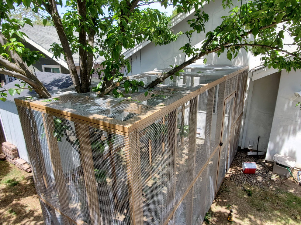 Custom Catio (Cat Patio)