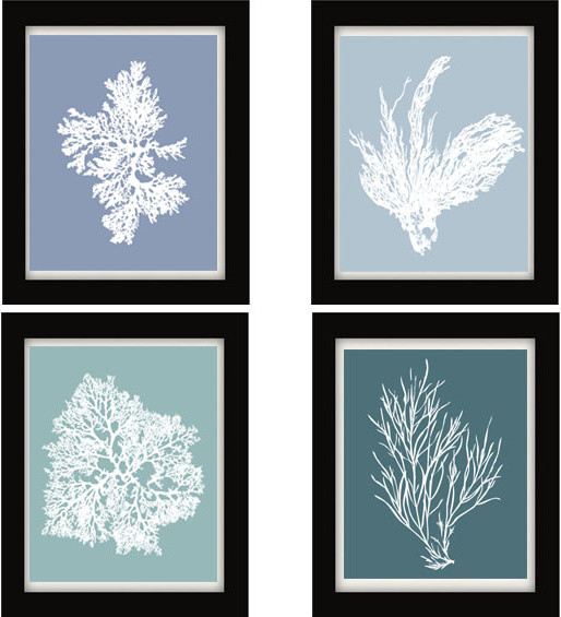 Blue Wall Decor coral wall art | winda 7 furniture Blue Wall Decor coral wall art | winda 7 furniture