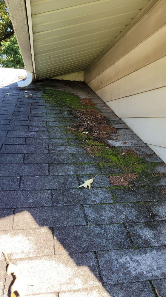 Asphalt Architectural Shingle Roof Beltsville, MD Exterior DC