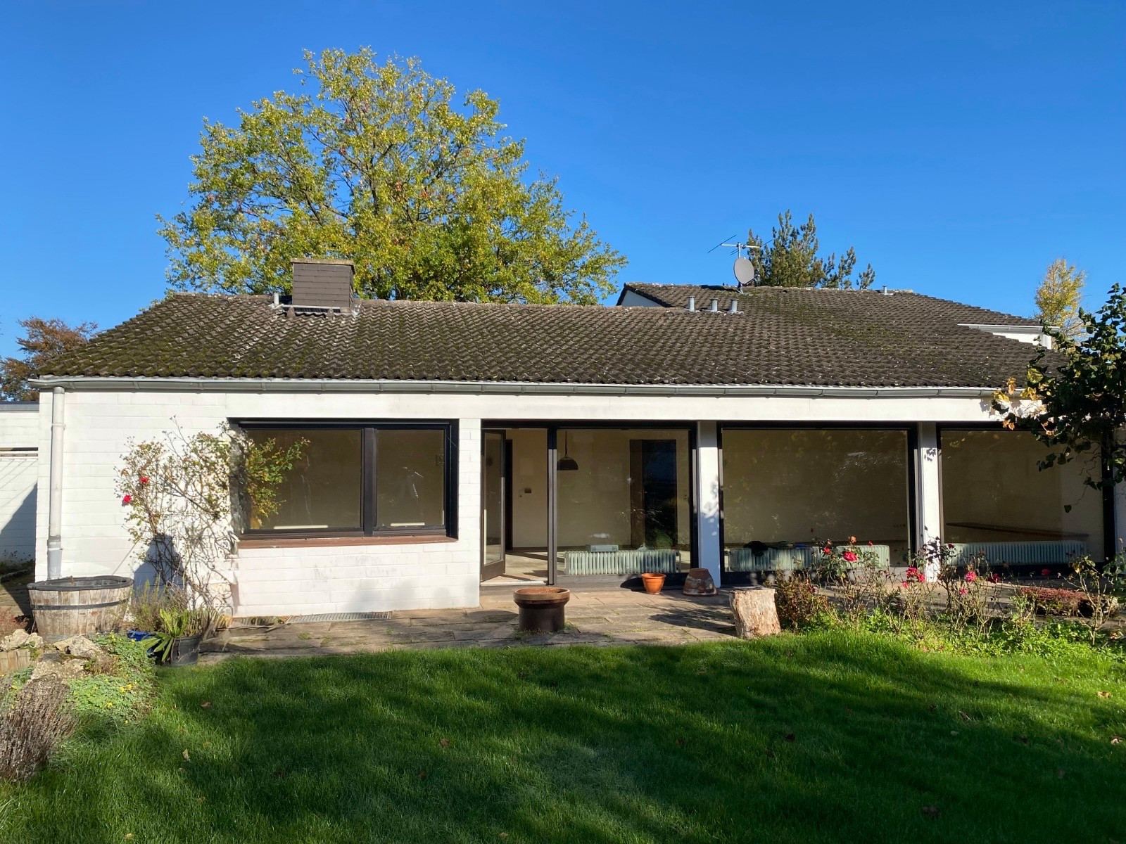 Gartenansicht vorher