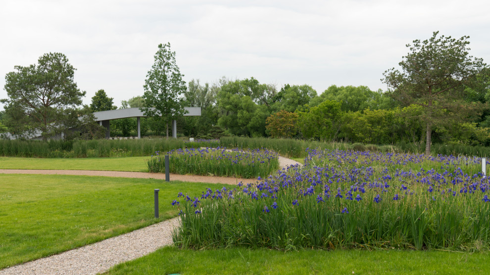 Природный сад. Жуковка XXI век. 2017-2018 гг.