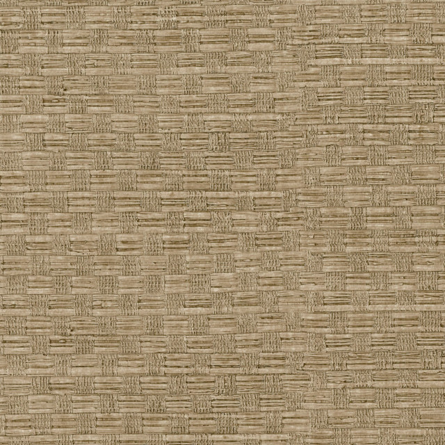 Texture Light Brown Woven Wallpaper, Sample - Contemporary - Wallpaper ...