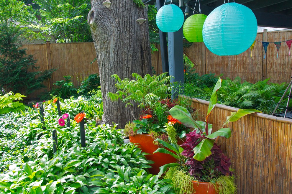 Shade to Sun - A Journey of a Perennial Garden