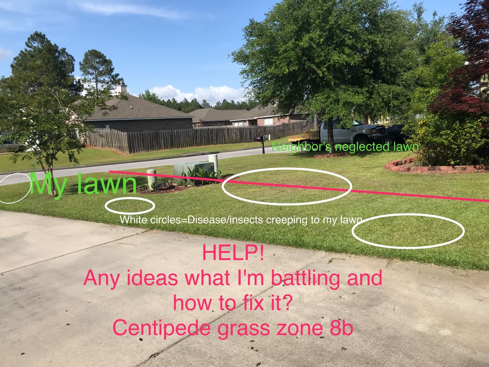 Suggestions neededlandscaping to divide my yard from neighbor's