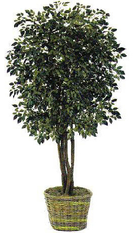 7.5' Ficus Artificial Tree