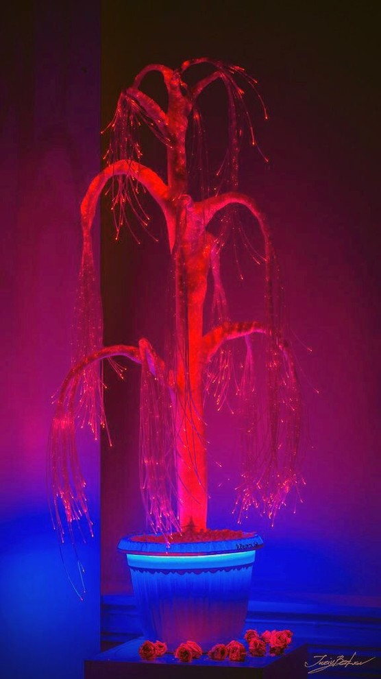 Reincarnation of celluloid