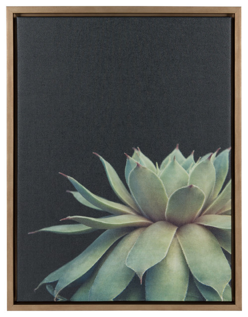 Sylvie Succulent Framed Canvas by F2 Images, Gold 18x24