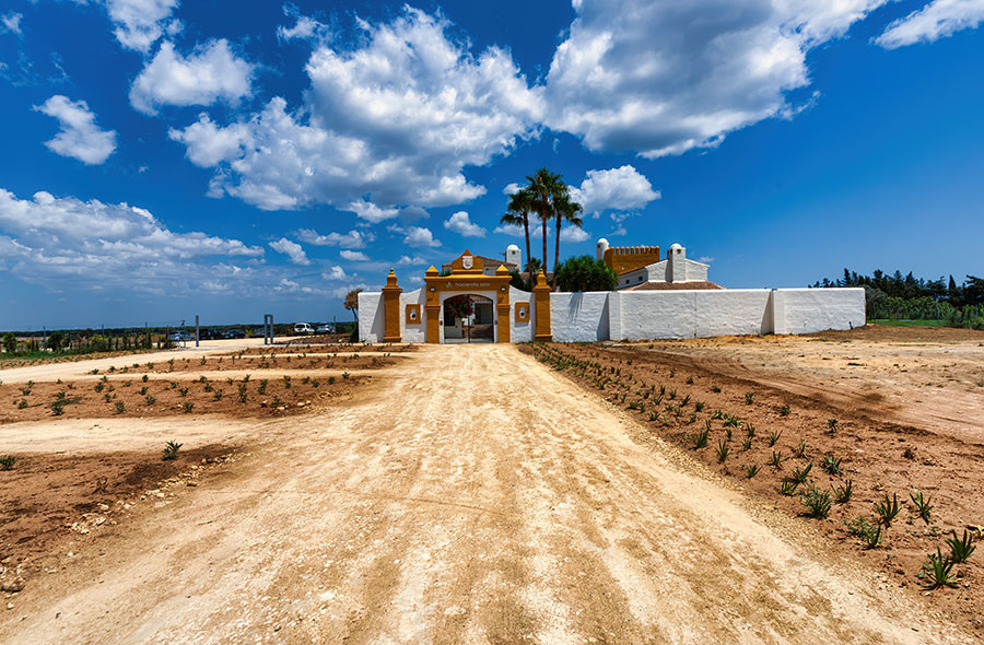 HACIENDA SOTO HEGOHAIZEA