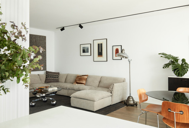 Stawell St Prahran Townhouse Renovation contemporary