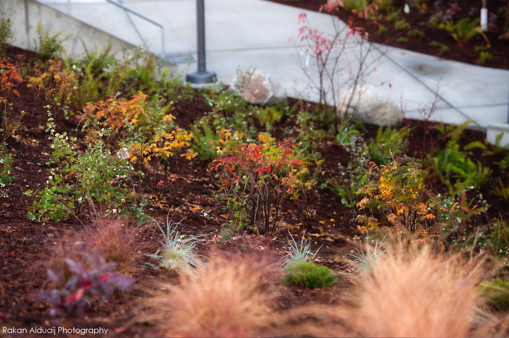 COMMERCIAL LANDSCAPE SERVICES