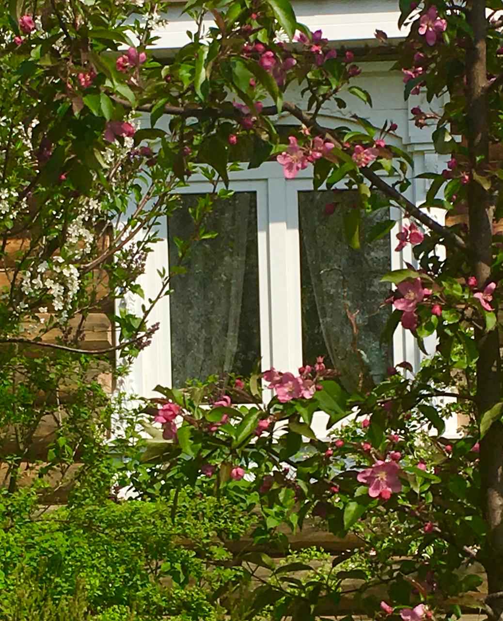 Преображение