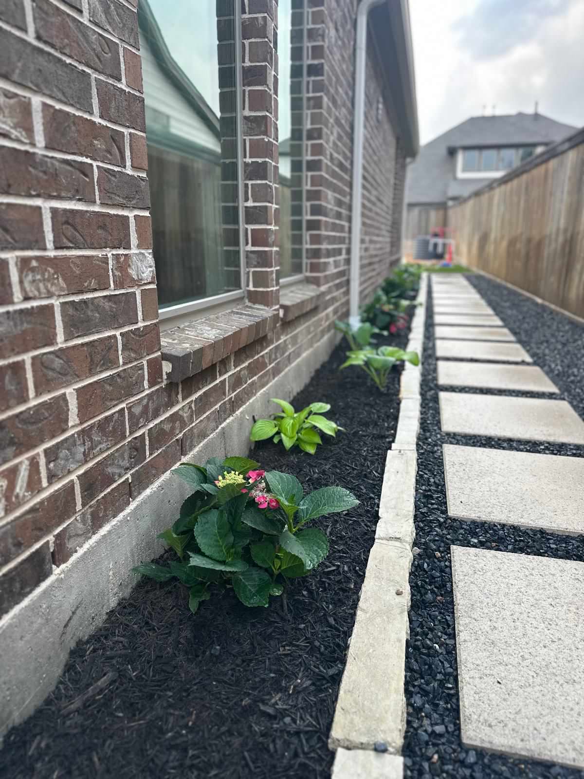 Backyard paradise in Bridgeland
