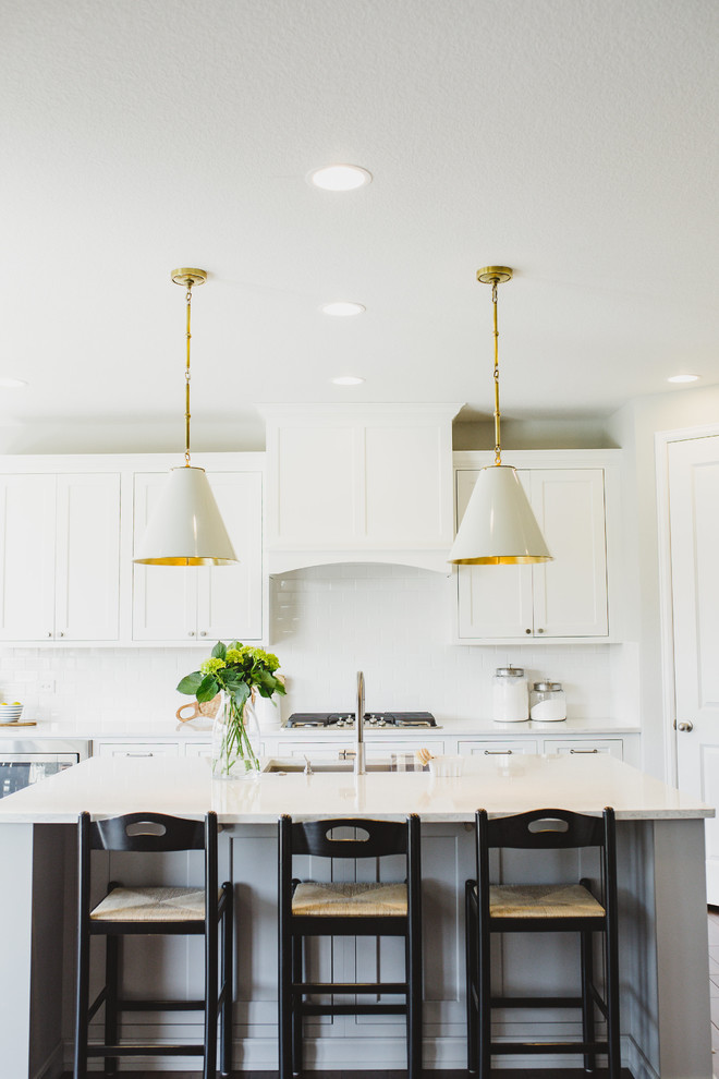Kitchen - transitional kitchen idea in Denver