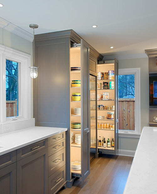 Tall pull-out pantry cabinets with full-extension shelves and integrated lighting, showing organized food and dish storage in a modern kitchen