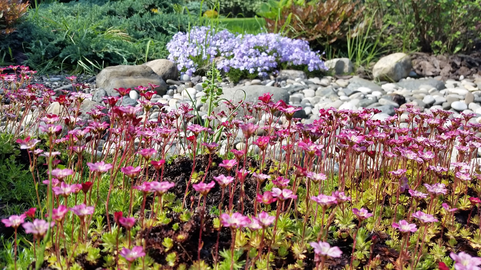 Ландшафтный проект 5