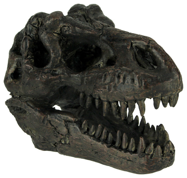 dinosaur head fossil