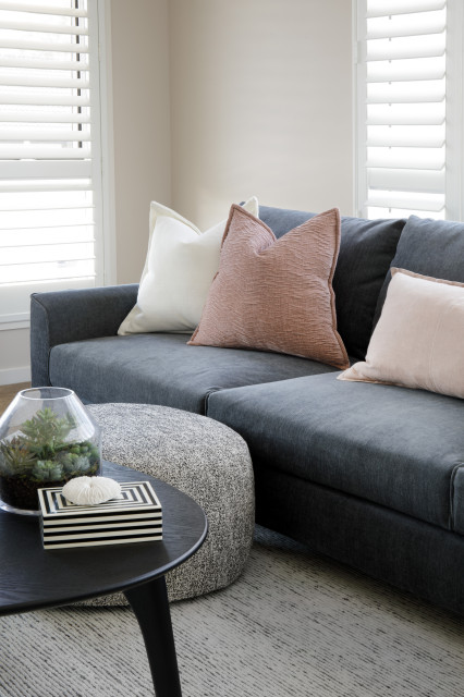 Entertainers Dream Decorating Project trendy-dagligstue