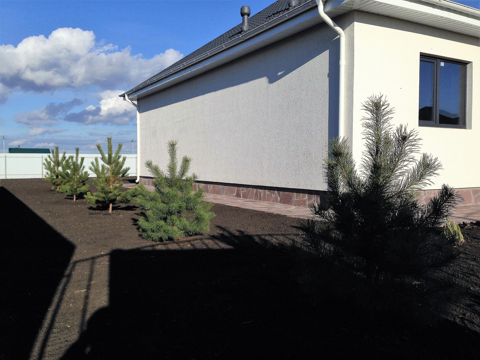 Одноэтажный жилой дом на три спальни