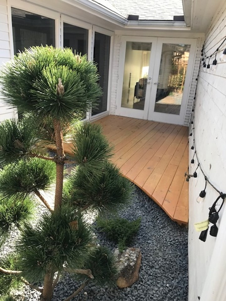 Meyerland Zen garden with deck