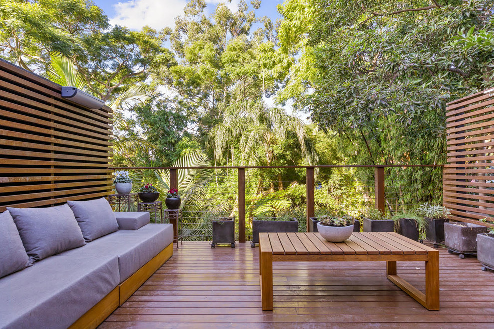 Design ideas for a tropical deck in Sydney.