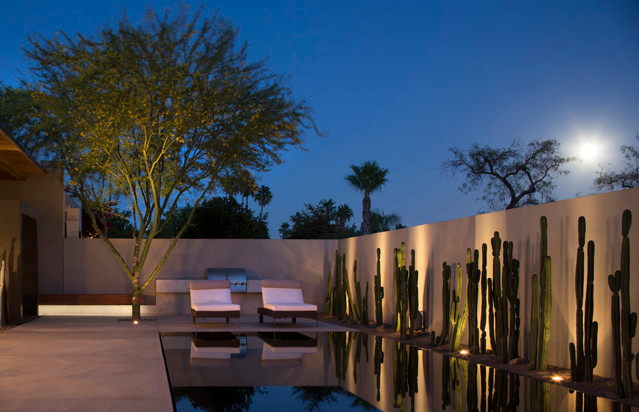 This is an example of a large contemporary backyard rectangular infinity pool in Phoenix with concrete slab and a hot tub.