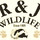 R & J Wildlife Removal