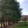 Furr's Tree & Landscaping Fredericksburg