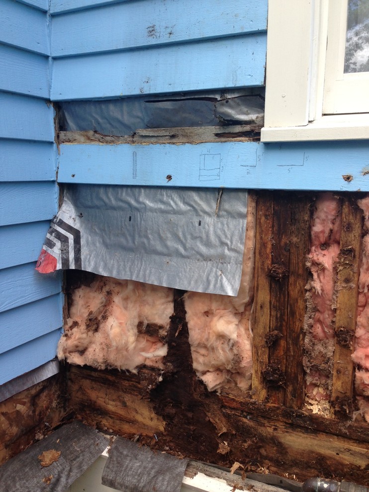 Rot Repair