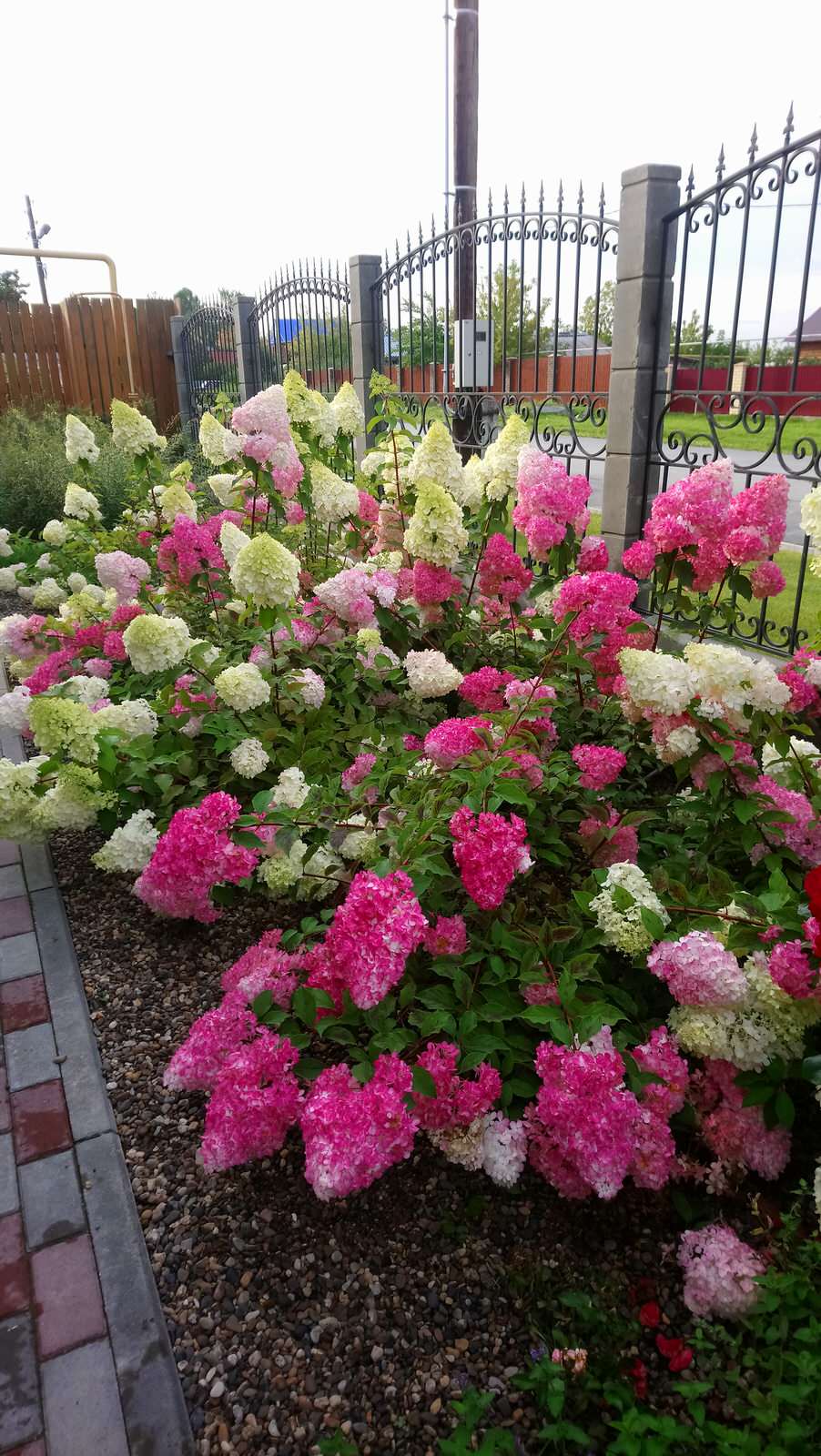 Маленький камерный сад.