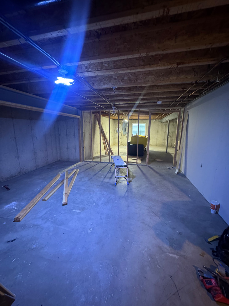 Luxury Basement in Oswego