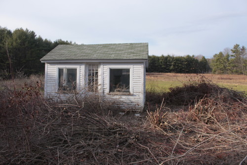 Flanagan Farm Portland Maine