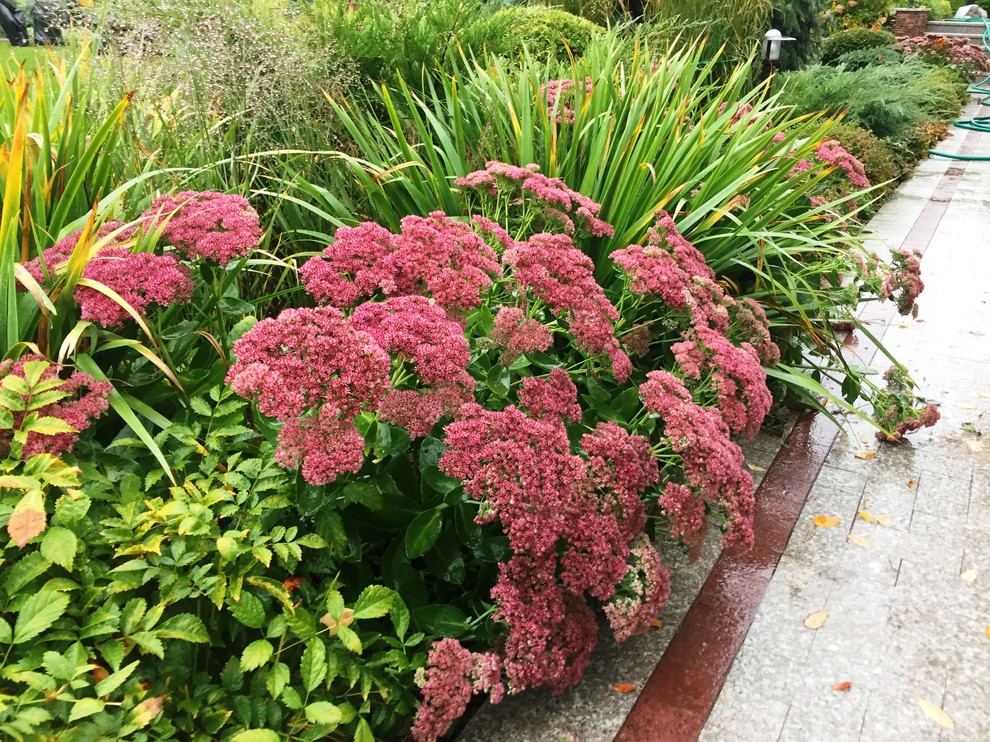 Миллениум2014