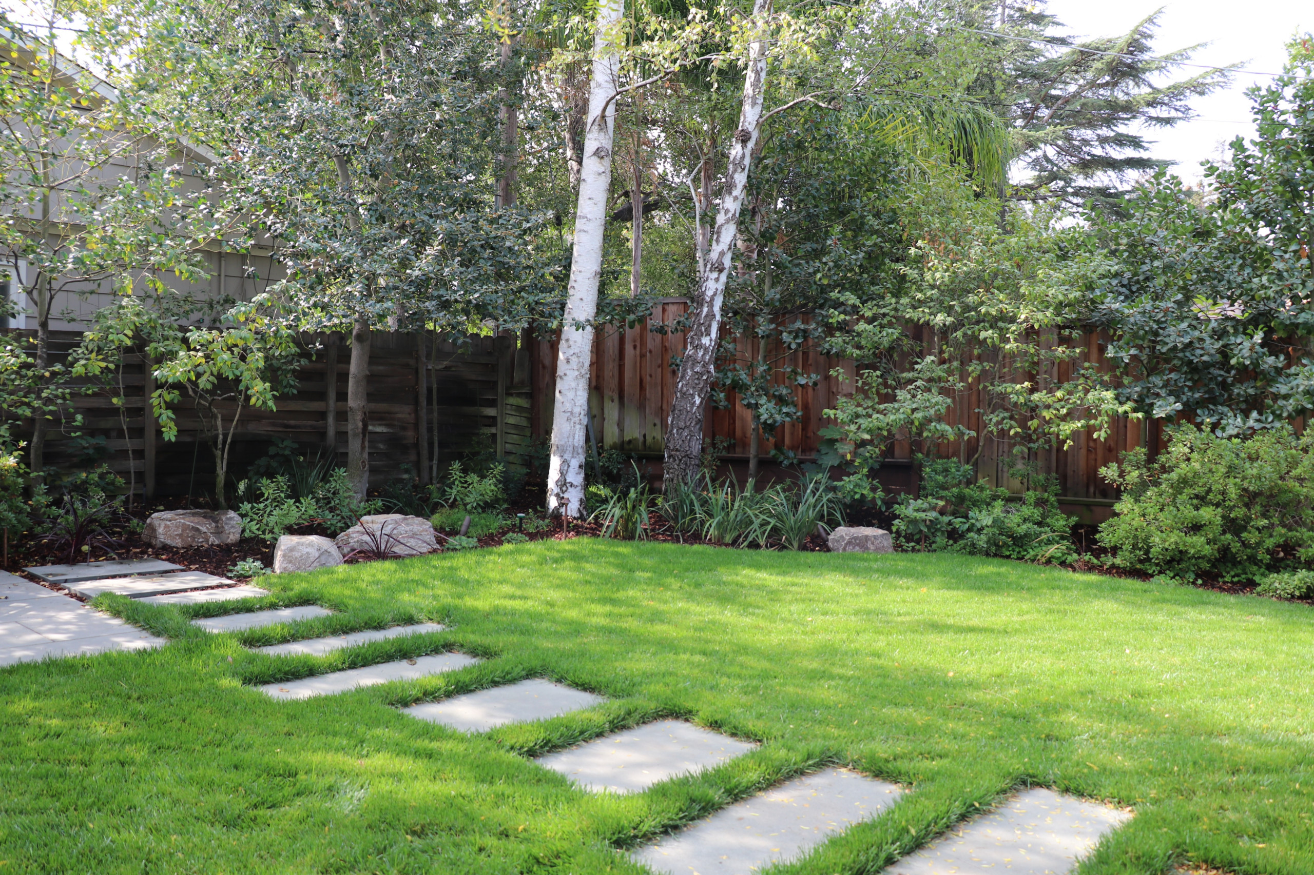 SWEDISH FLAME IN WOODS