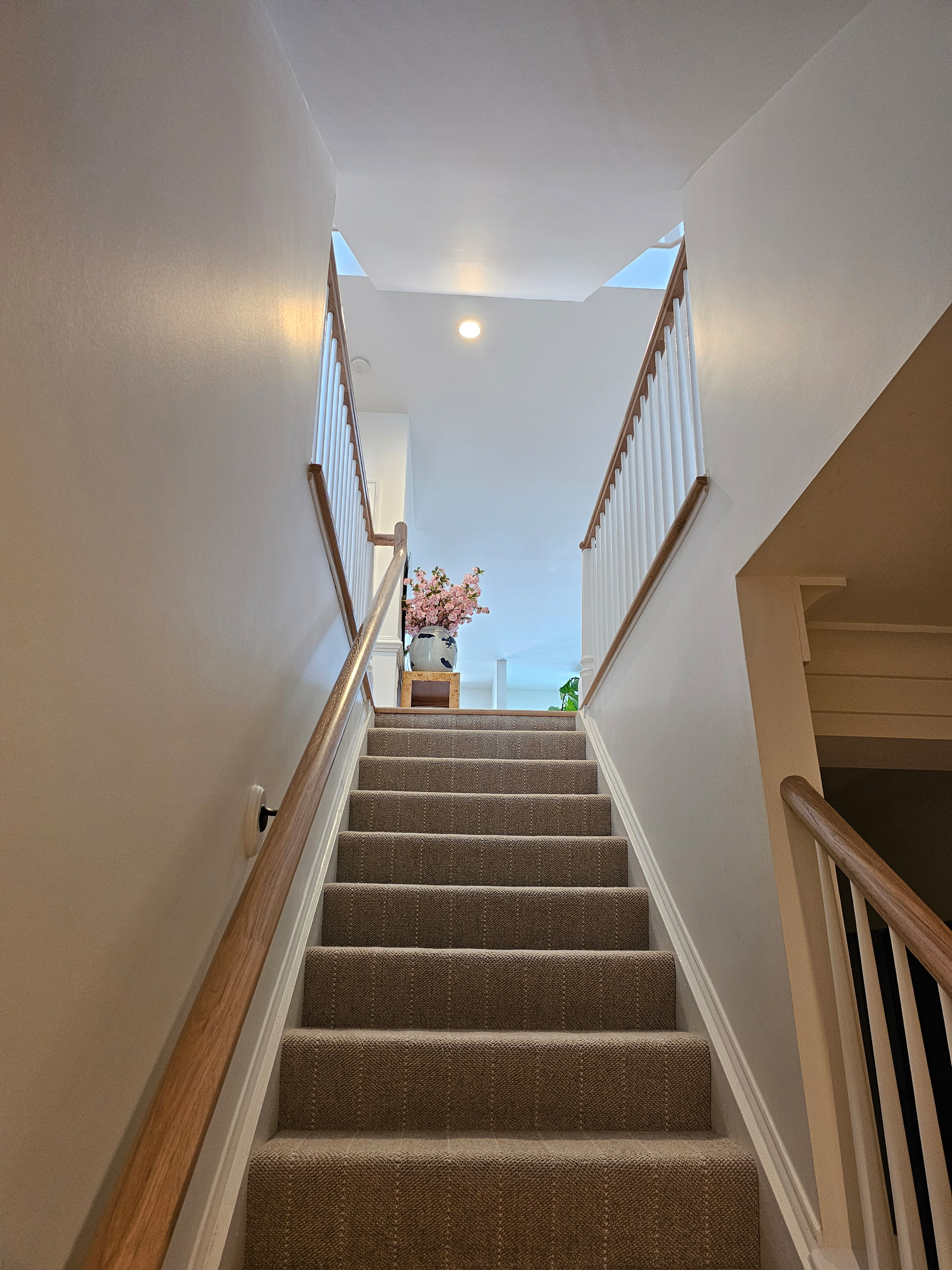 126_Sophisticated Rail Remodel, Leesburg, VA 20176
