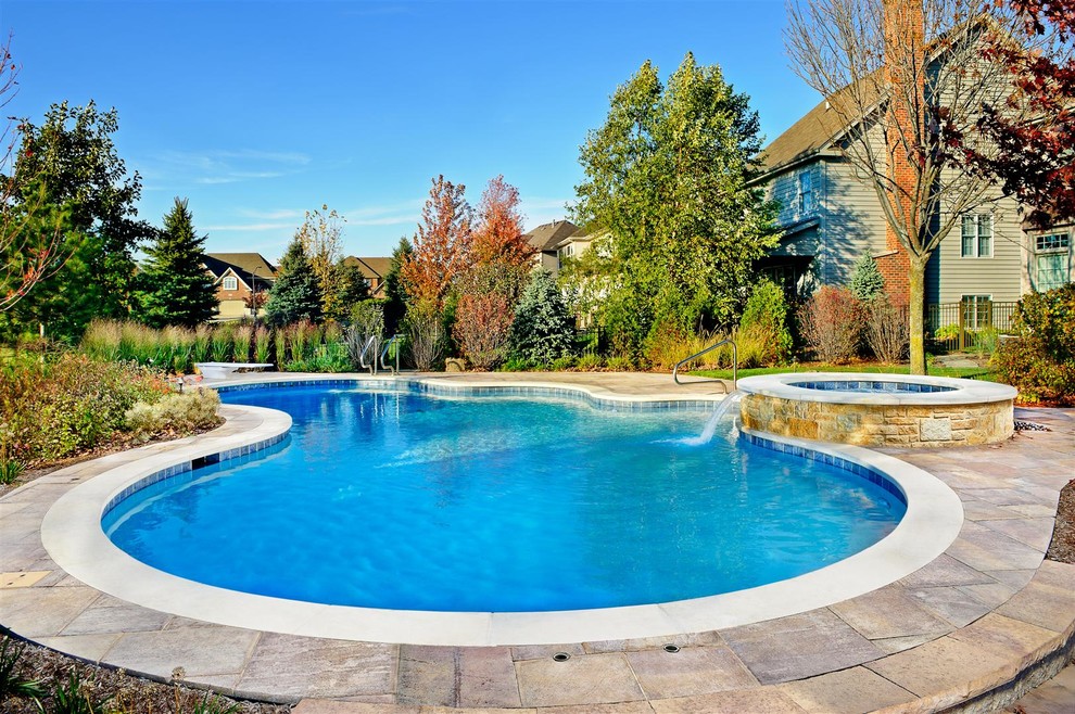 Naperville Il Freeform Swimming Pool And Raised Hot Tub Traditional