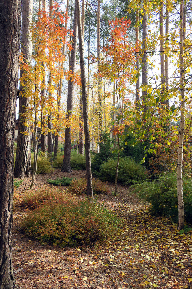 Не нужно бояться темноты