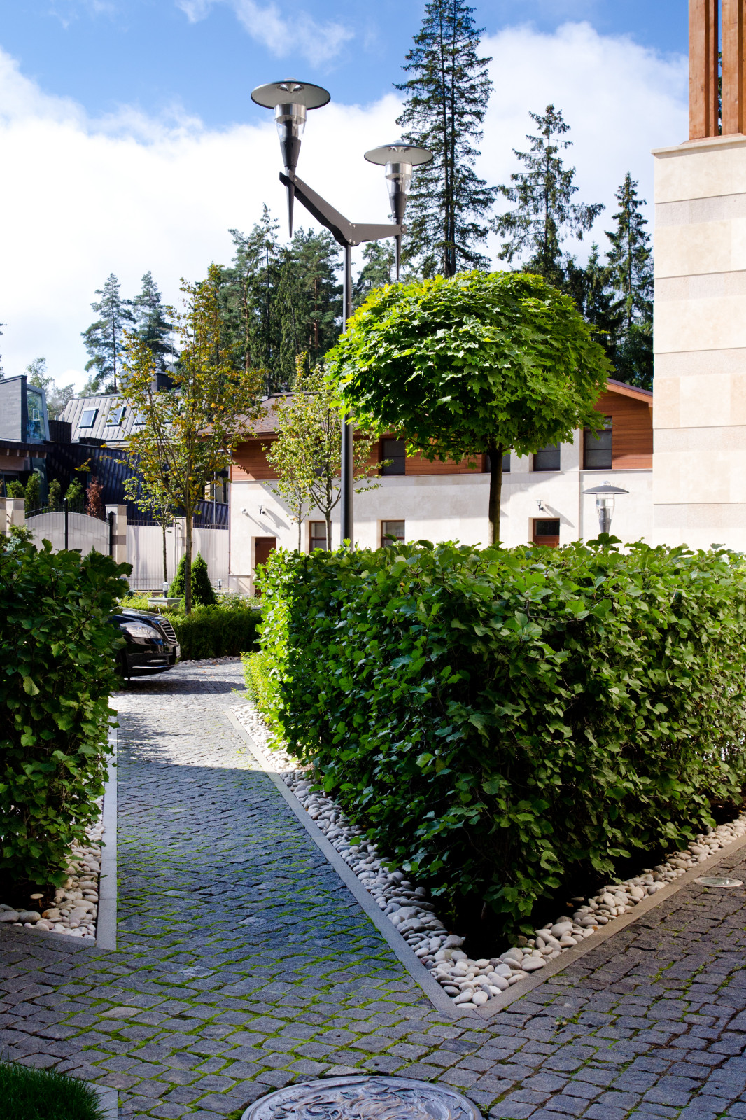 Глянцевый лес