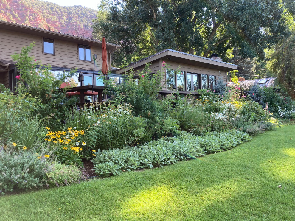 Expansive retro front xeriscape full sun garden in Denver with lawn edging and decking.