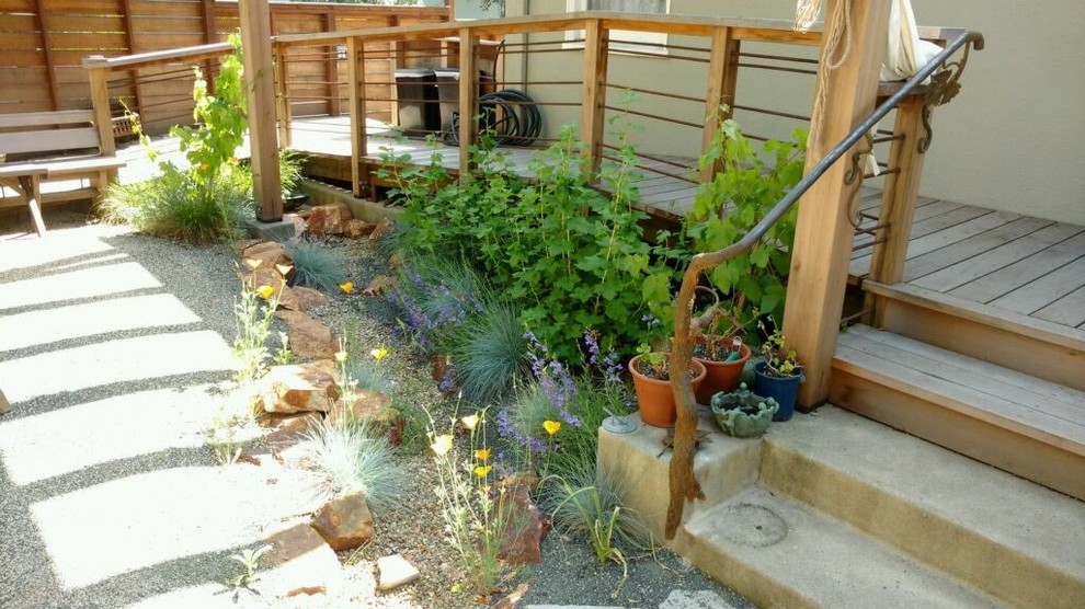 Photo of a mid-sized contemporary backyard partial sun xeriscape in San Francisco with gravel.