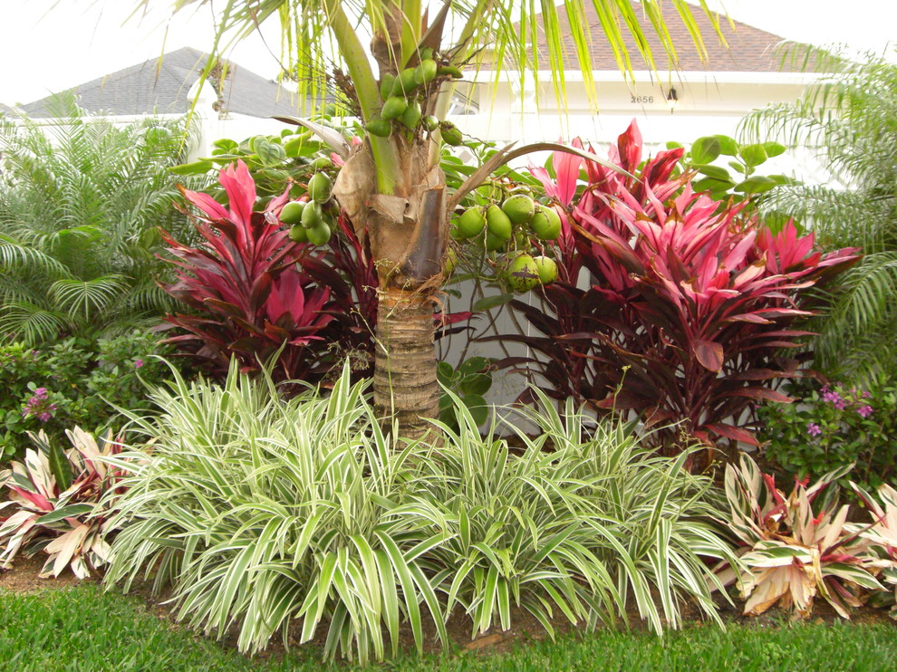 Inspiration for a tropical garden in Other.