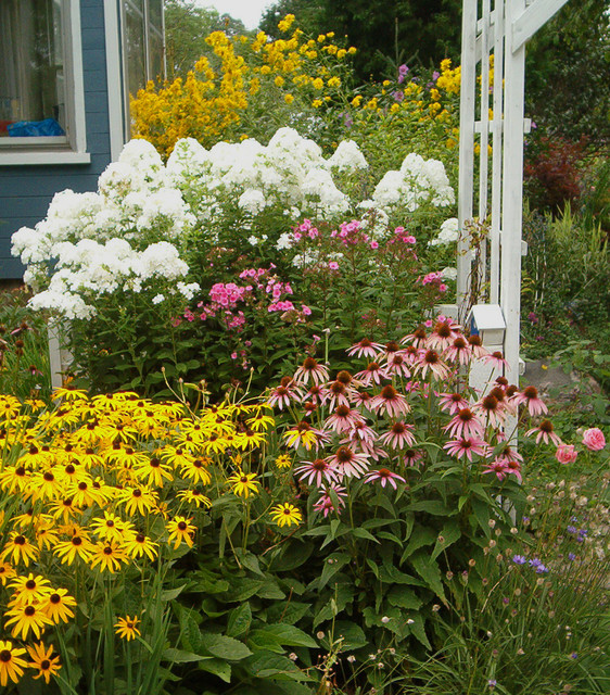 Garten im September was jetzt zu tun ist