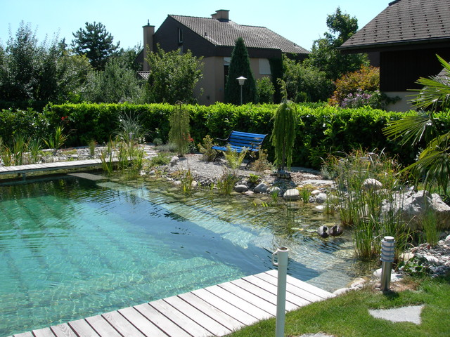BioNova Natural Swimming Pools - International swimming-pool-and-hot-tub