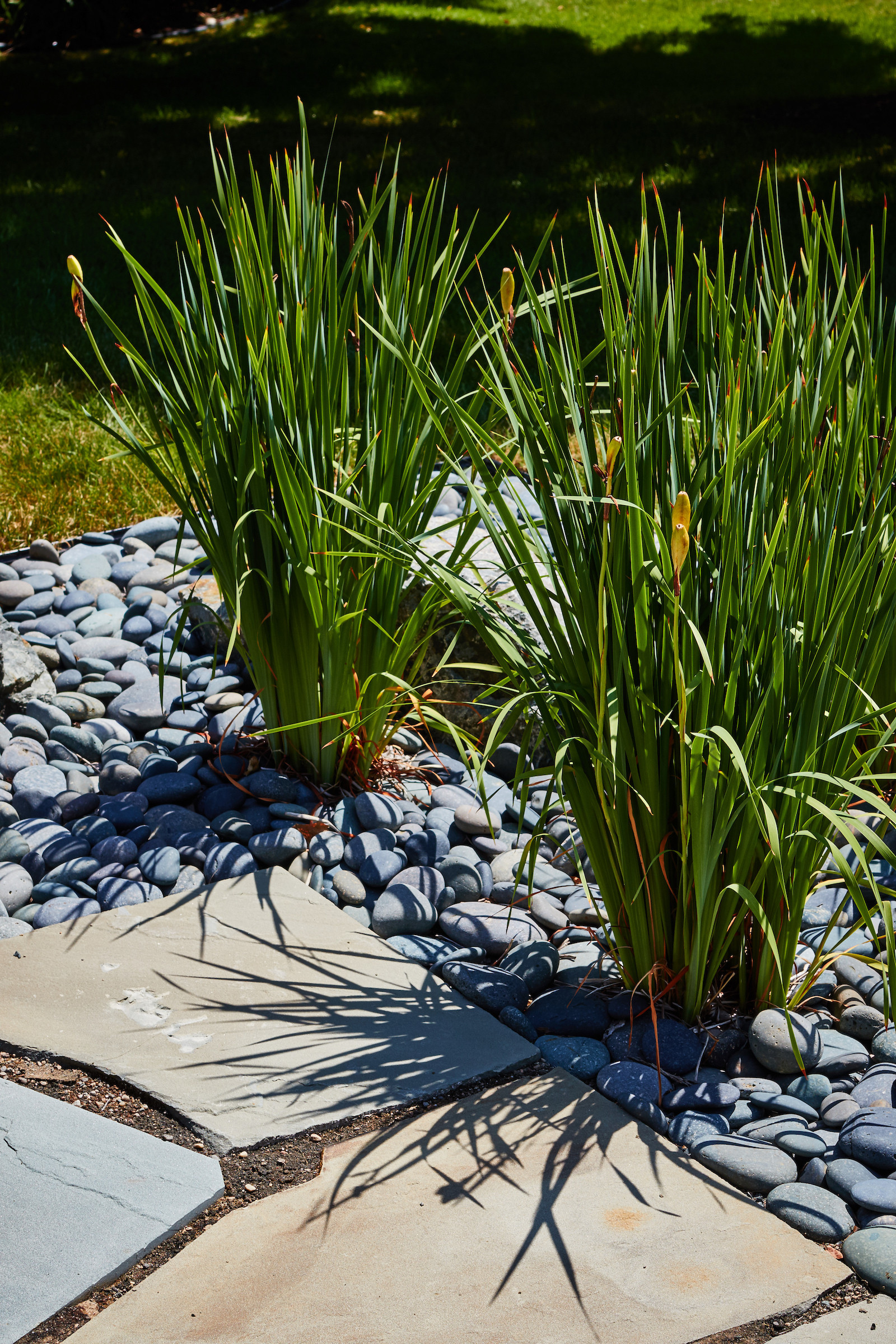 Modern Prairie Front Landscape - New Berlin