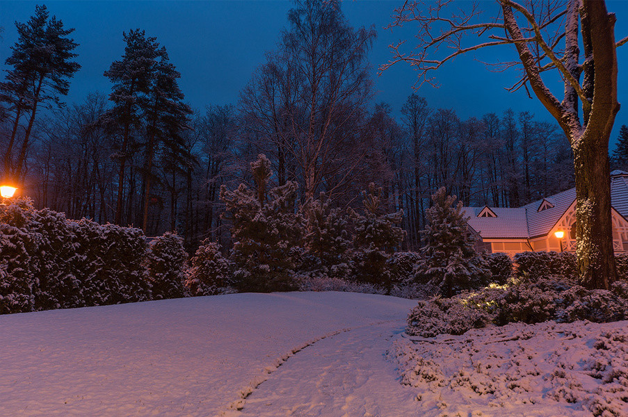 Участок в поселке со старыми кленами и дубами