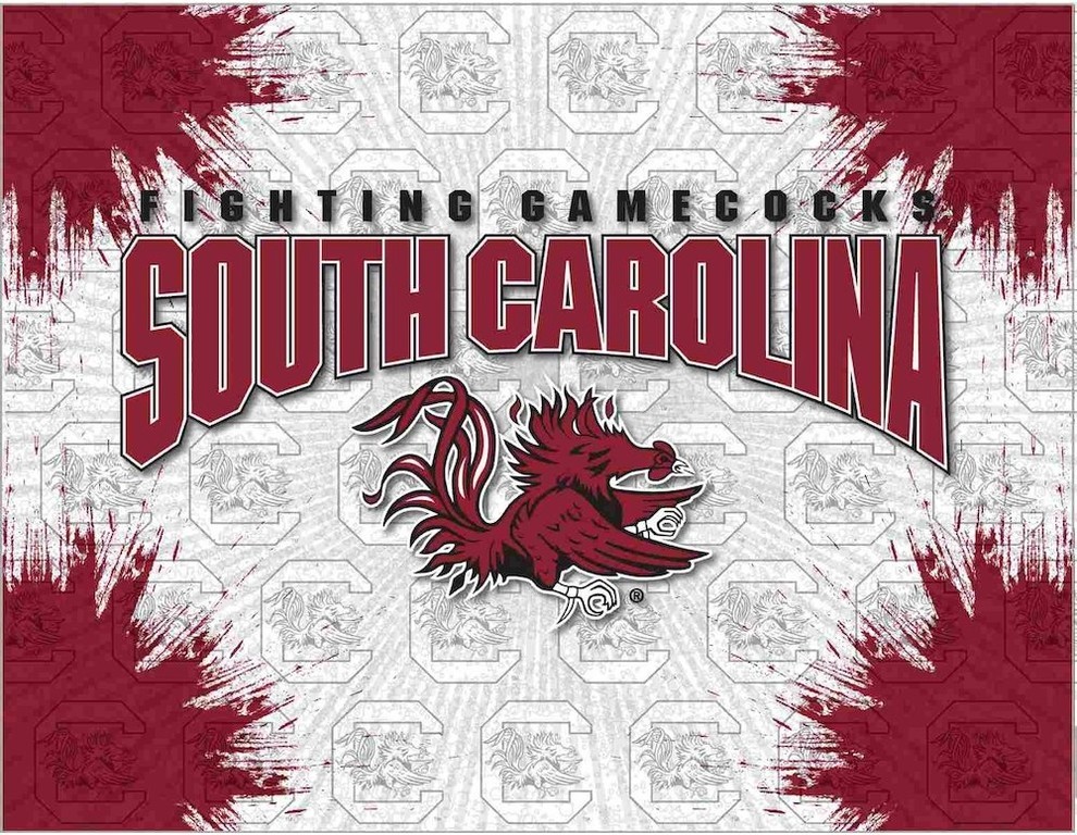 South Carolina Logo Canvas, 20"x15" - Contemporary - Prints And Posters ...