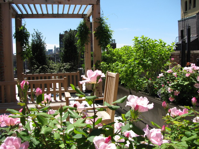 Classic Garden klassisk-gaardhave