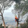 ECOARBOREA SRL