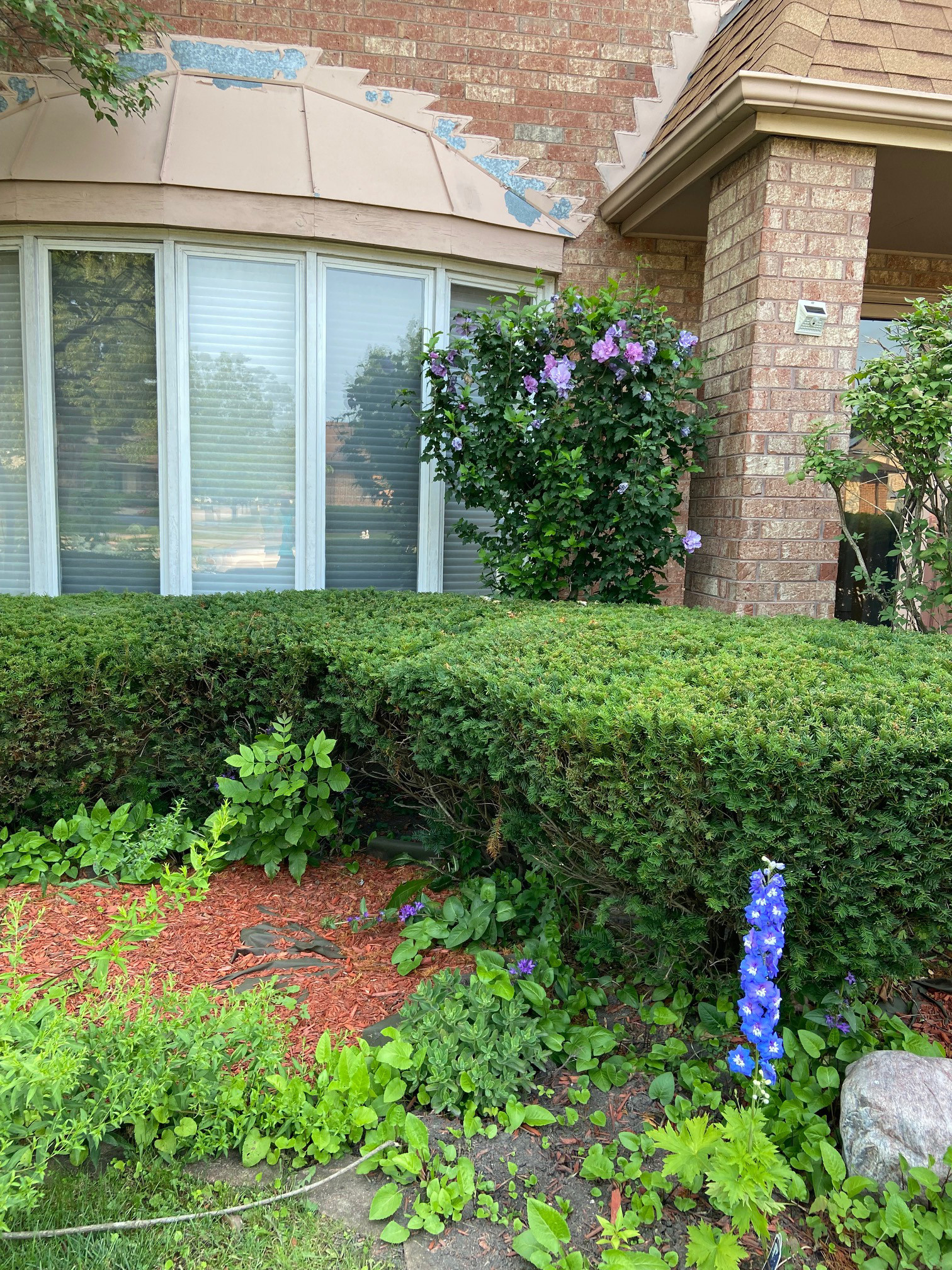 Front yard facelift